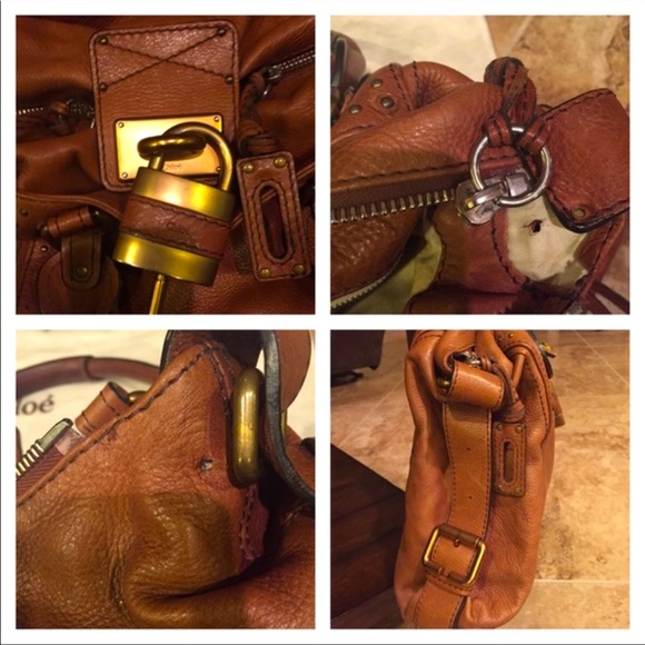 Chloe - Picture 5 of 5